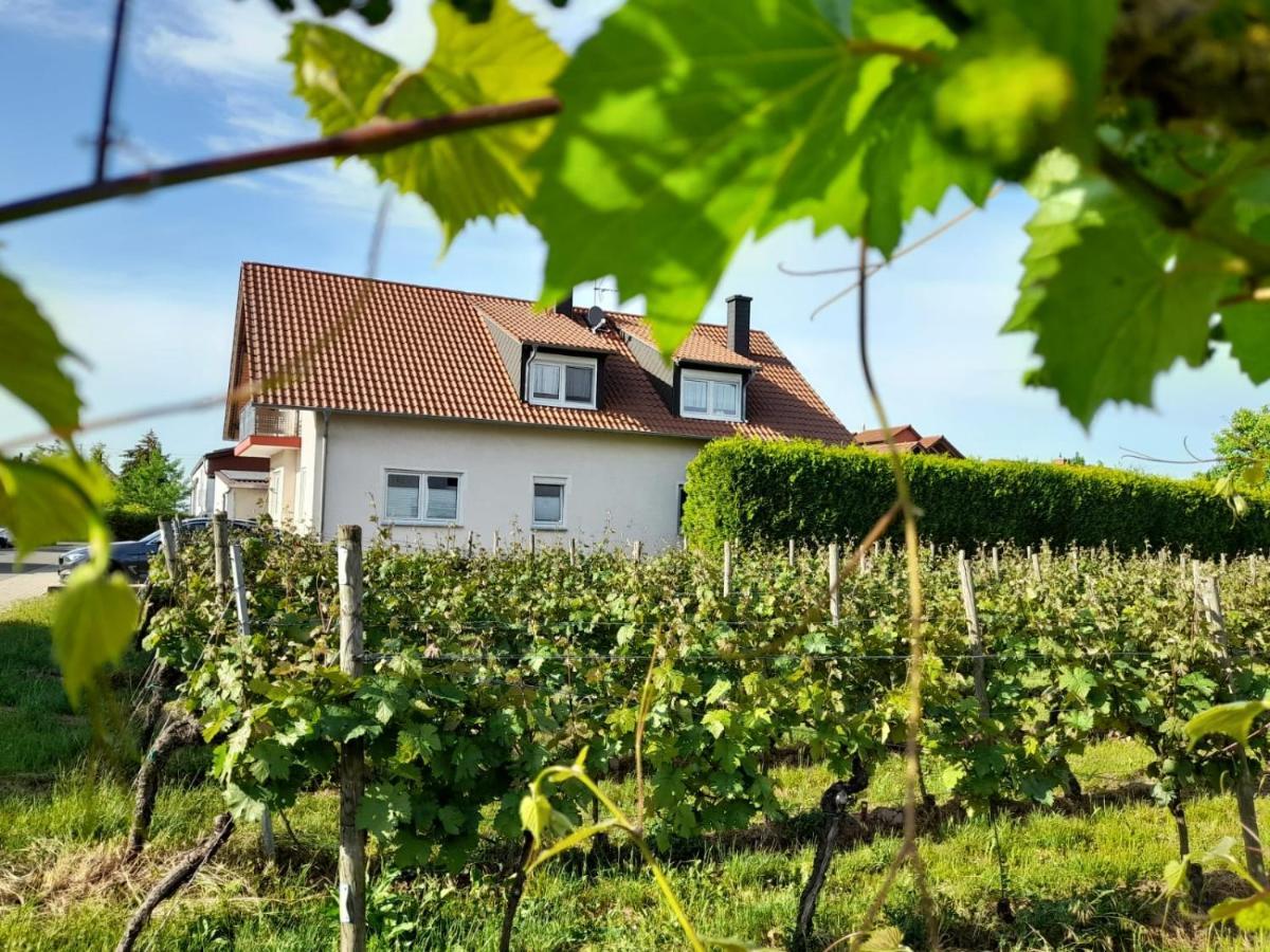 Ferienwohnung Am Schoosberg, Niederkirchen Bei Deidesheim מראה חיצוני תמונה